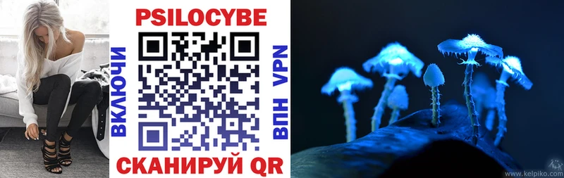 Псилоцибиновые грибы ЛСД  где купить наркотик  Егорьевск 