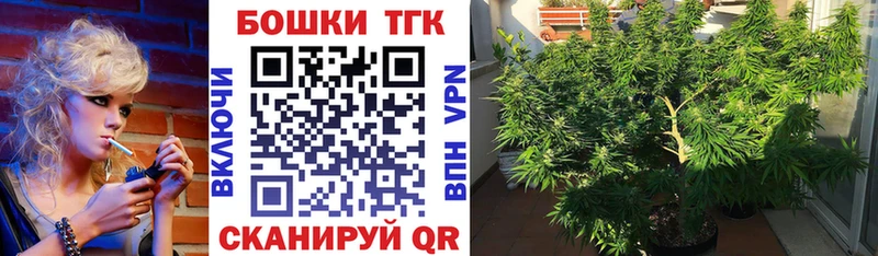 наркотики  Егорьевск  Каннабис OG Kush 